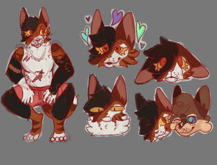 resized b/c file too big